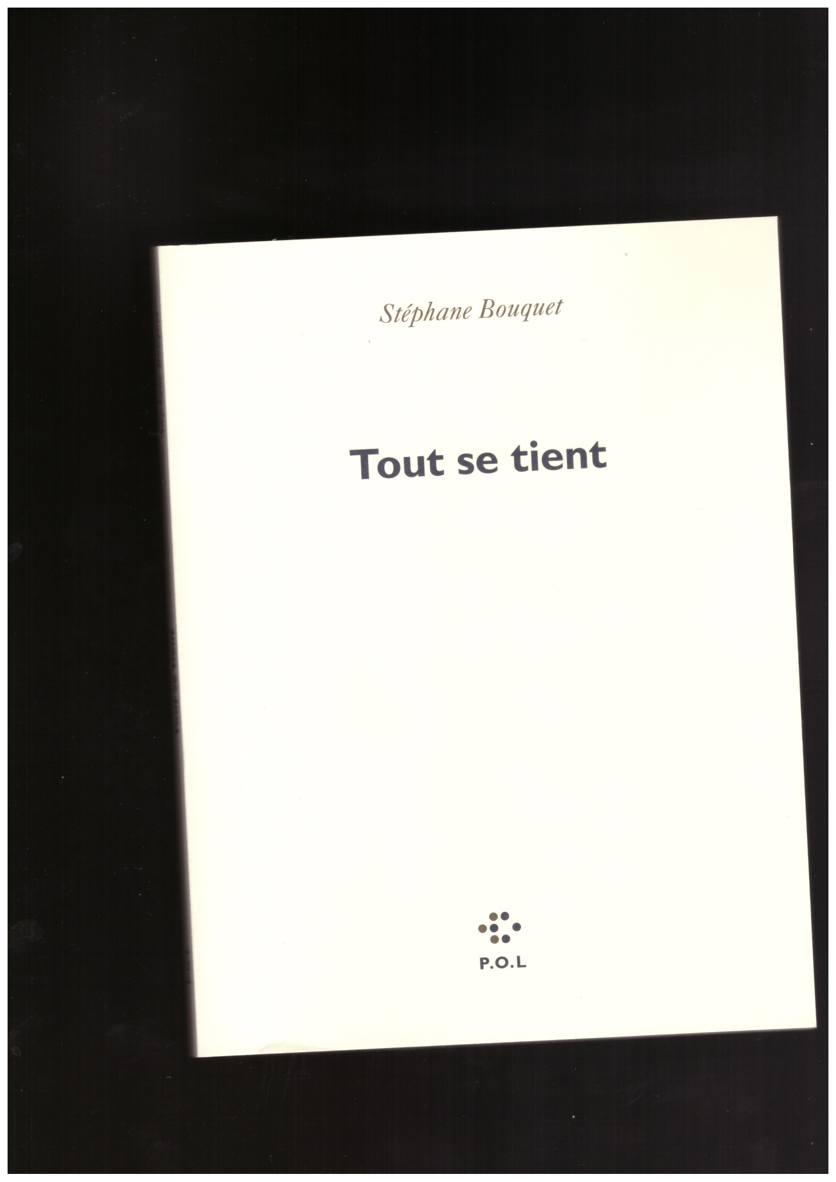 BOUQUET, Stéphane - Tout se tient